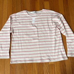 Ann Taylor Cream and Pink Striped Long-Sleeve Top